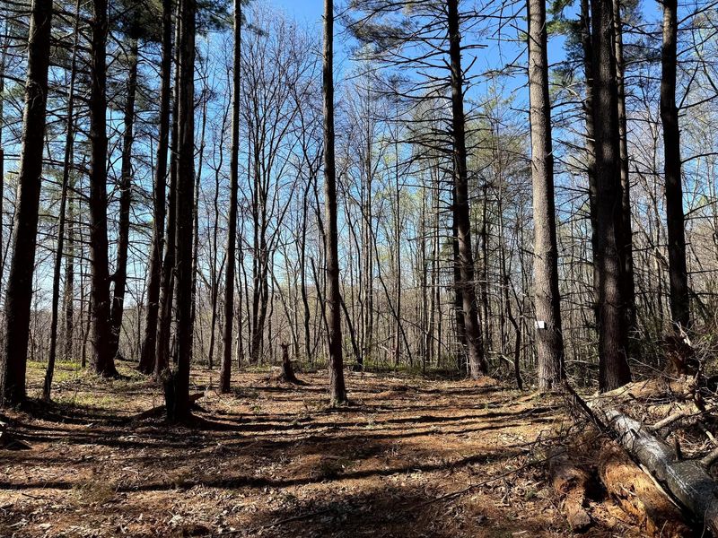 0 Little Kyger Road, Unit (Little Ky, Cheshire, OH 45620 Photo 5