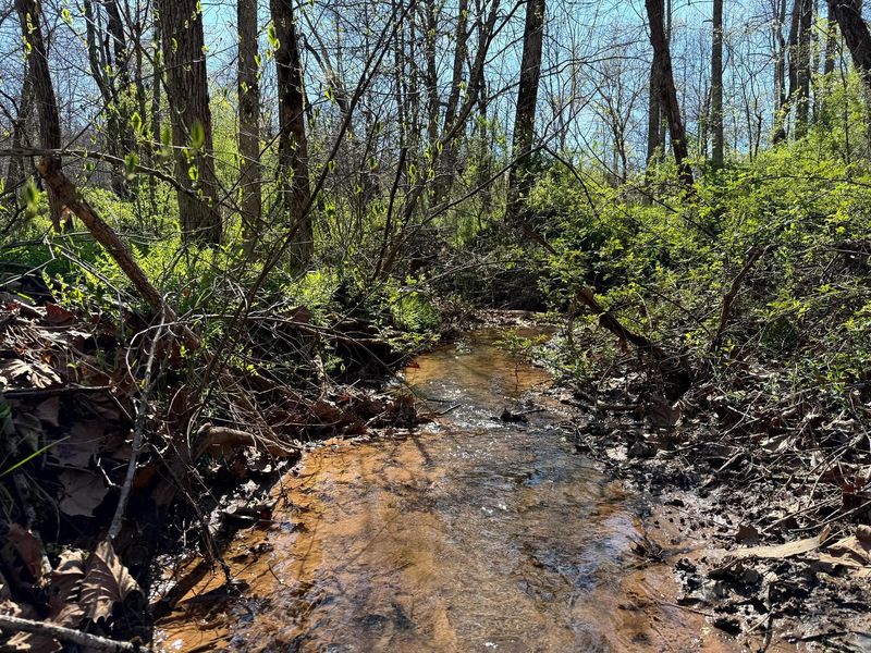 0 Little Kyger Road, Unit (Little Ky, Cheshire, OH 45620 Photo 6