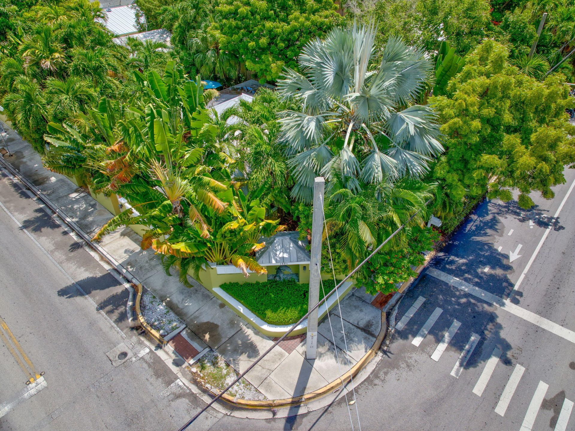 1501 White Street, Key West, FL 33040 Photo