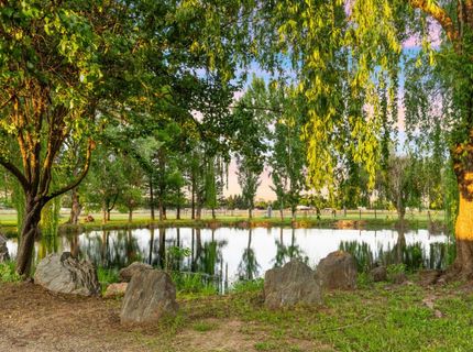 9475 Alta Mesa Rd, Wilton, CA 95693 Photo
