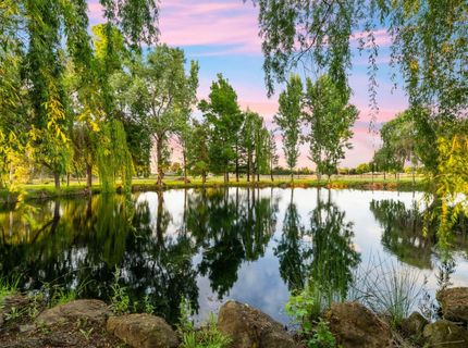 9475 Alta Mesa Rd, Wilton, CA 95693 Photo