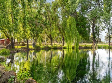 9475 Alta Mesa Rd, Wilton, CA 95693 Photo