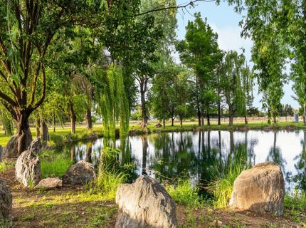 9475 Alta Mesa Rd, Wilton, CA 95693 Photo