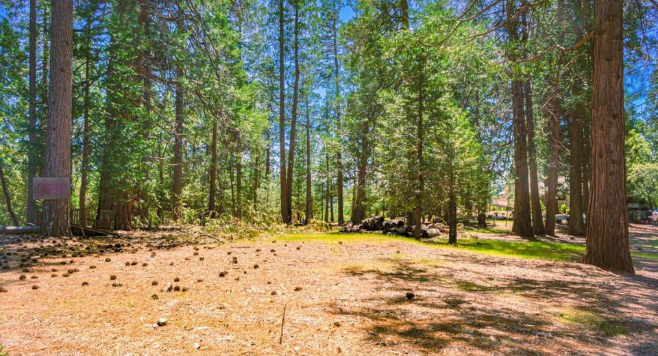 25594 Overland Dr, Volcano, CA 95689 Photo