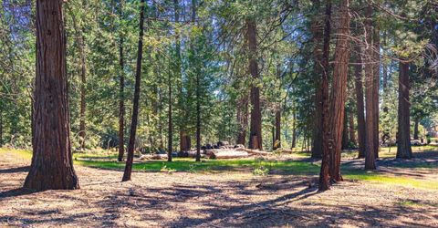 25594 Overland Dr, Volcano, CA 95689 Photo