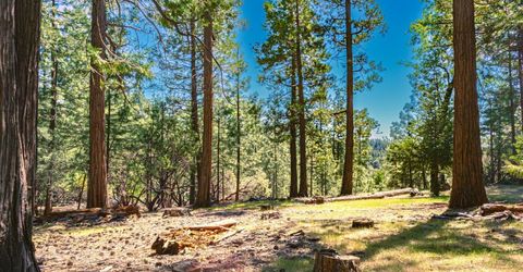 25594 Overland Dr, Volcano, CA 95689 Photo