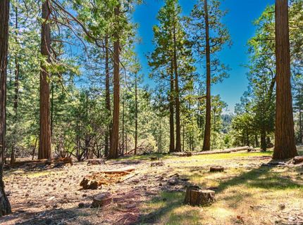 25594 Overland Dr, Volcano, CA 95689 Photo