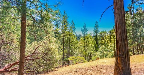 25594 Overland Dr, Volcano, CA 95689 Photo