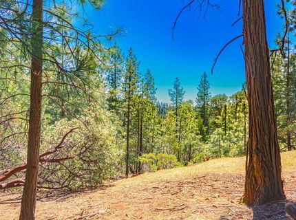 25594 Overland Dr, Volcano, CA 95689 Photo