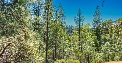 25594 Overland Dr, Volcano, CA 95689 Photo