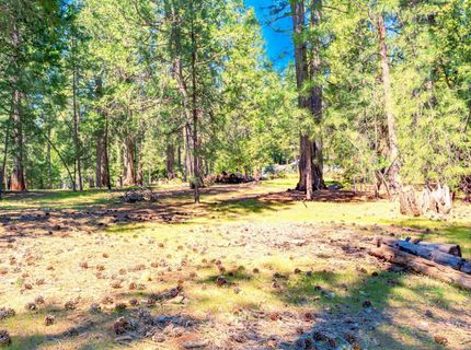 25594 Overland Dr, Volcano, CA 95689 Photo