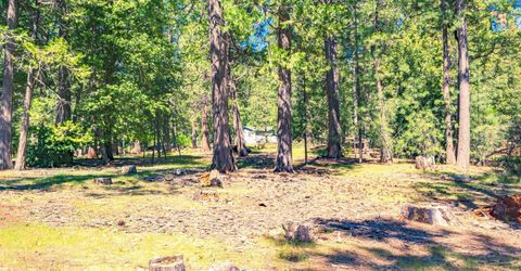 25594 Overland Dr, Volcano, CA 95689 Photo