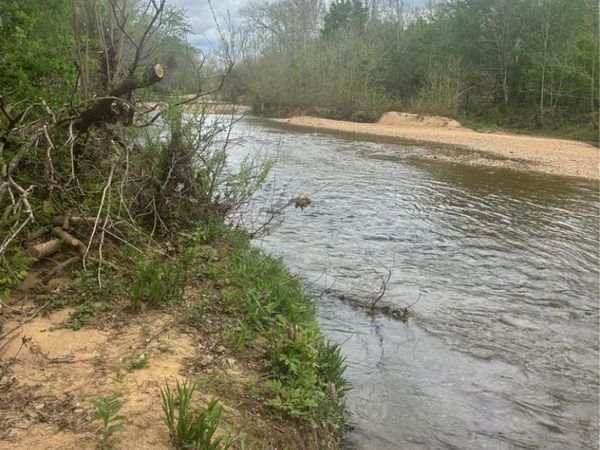 1550 Madison 233, Marquand, MO 63655