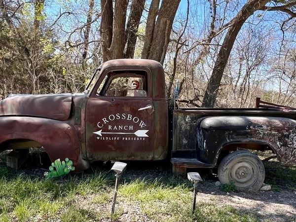 235 Private Road 2124 , Meridian, TX 76665