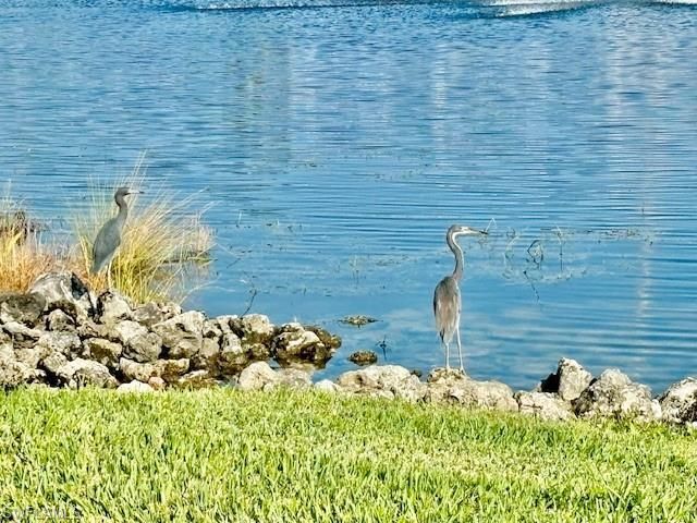 28318 Captiva Shell Loop, Bonita Springs, FL 34135 Photo