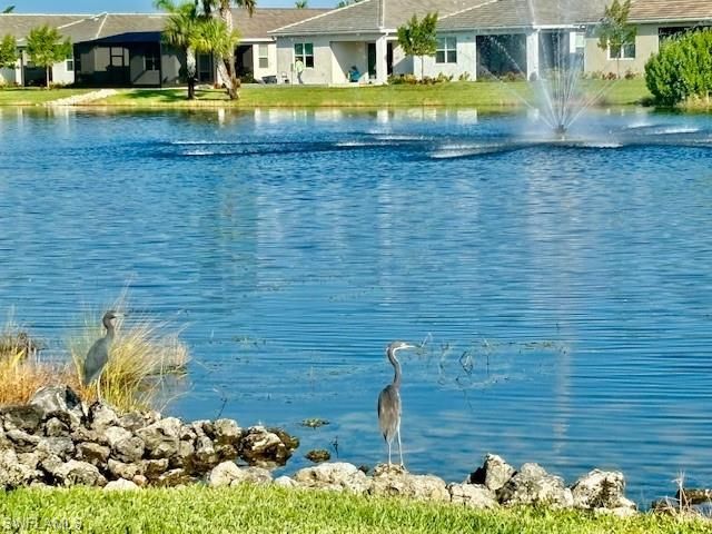 28318 Captiva Shell Loop, Bonita Springs, FL 34135 Photo