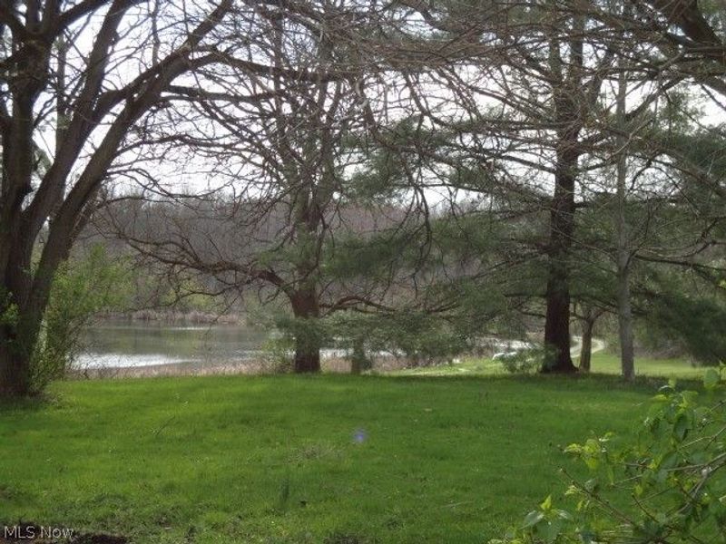 2252 N Medina Line Road, Akron, OH 44333 Photo 30