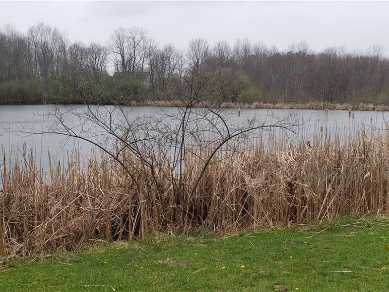 2252 N Medina Line Road, Akron, OH 44333 Photo 8