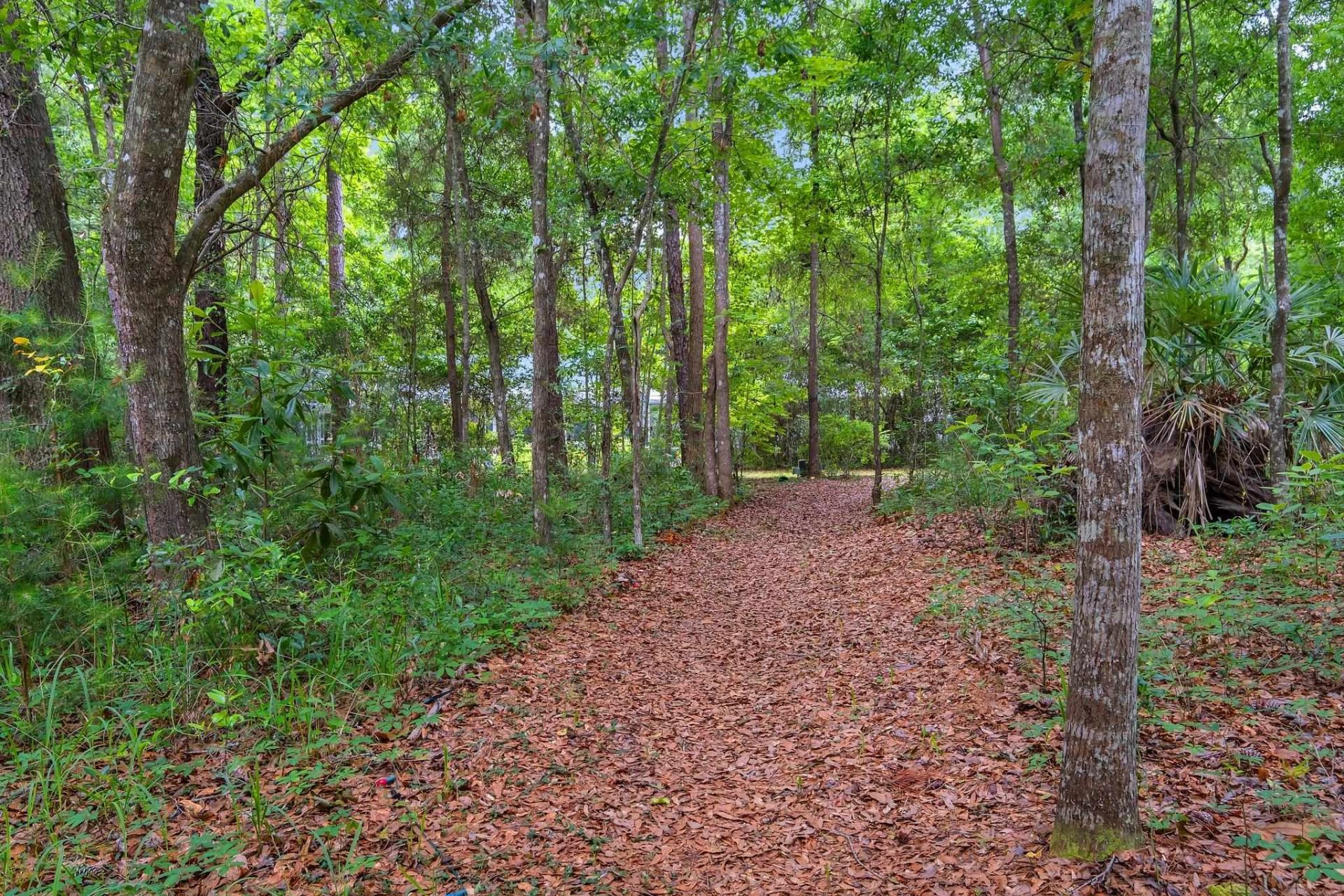 134 Small Pond, Havana, FL 32333 Photo