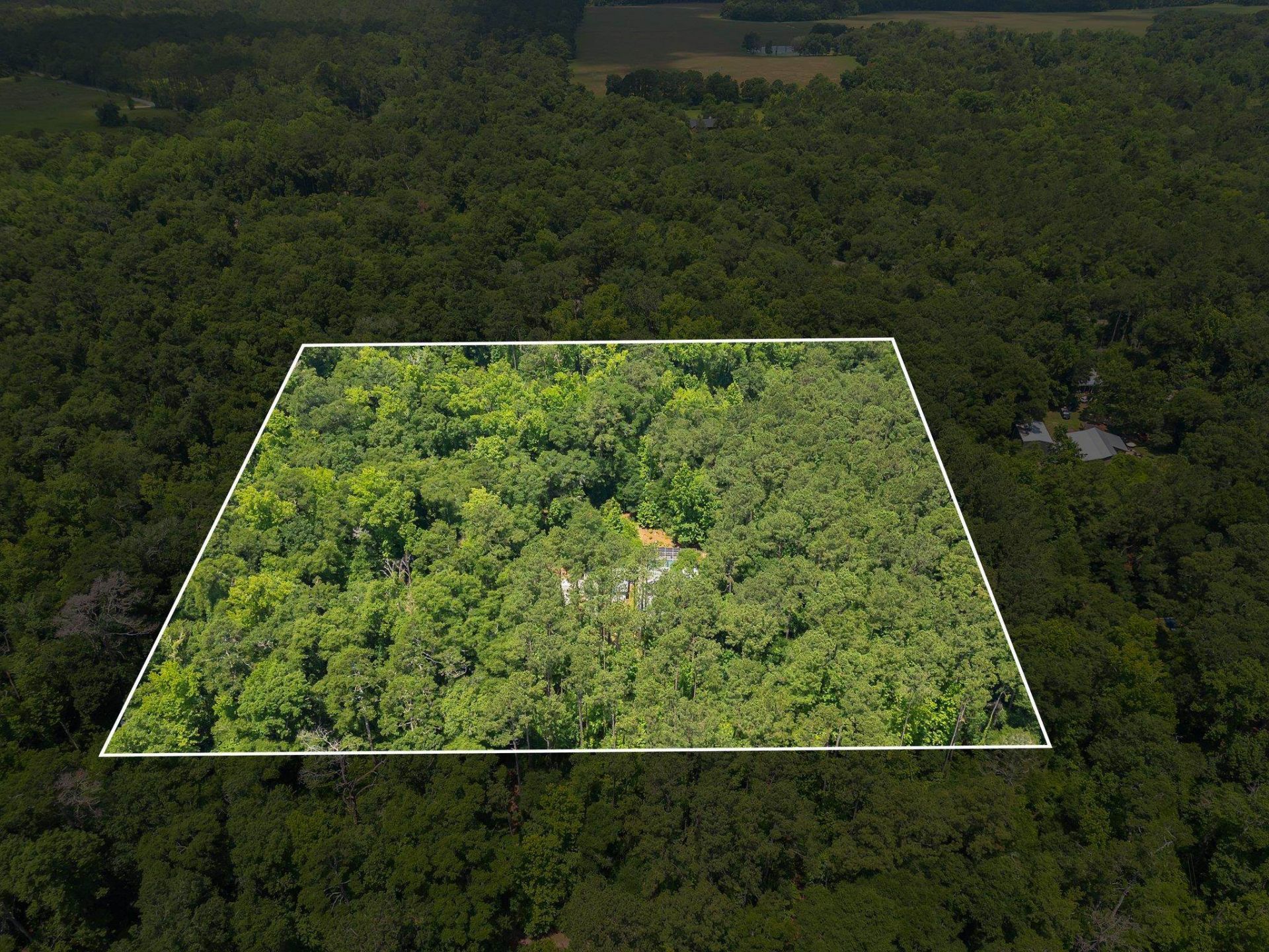 134 Small Pond, Havana, FL 32333 Photo