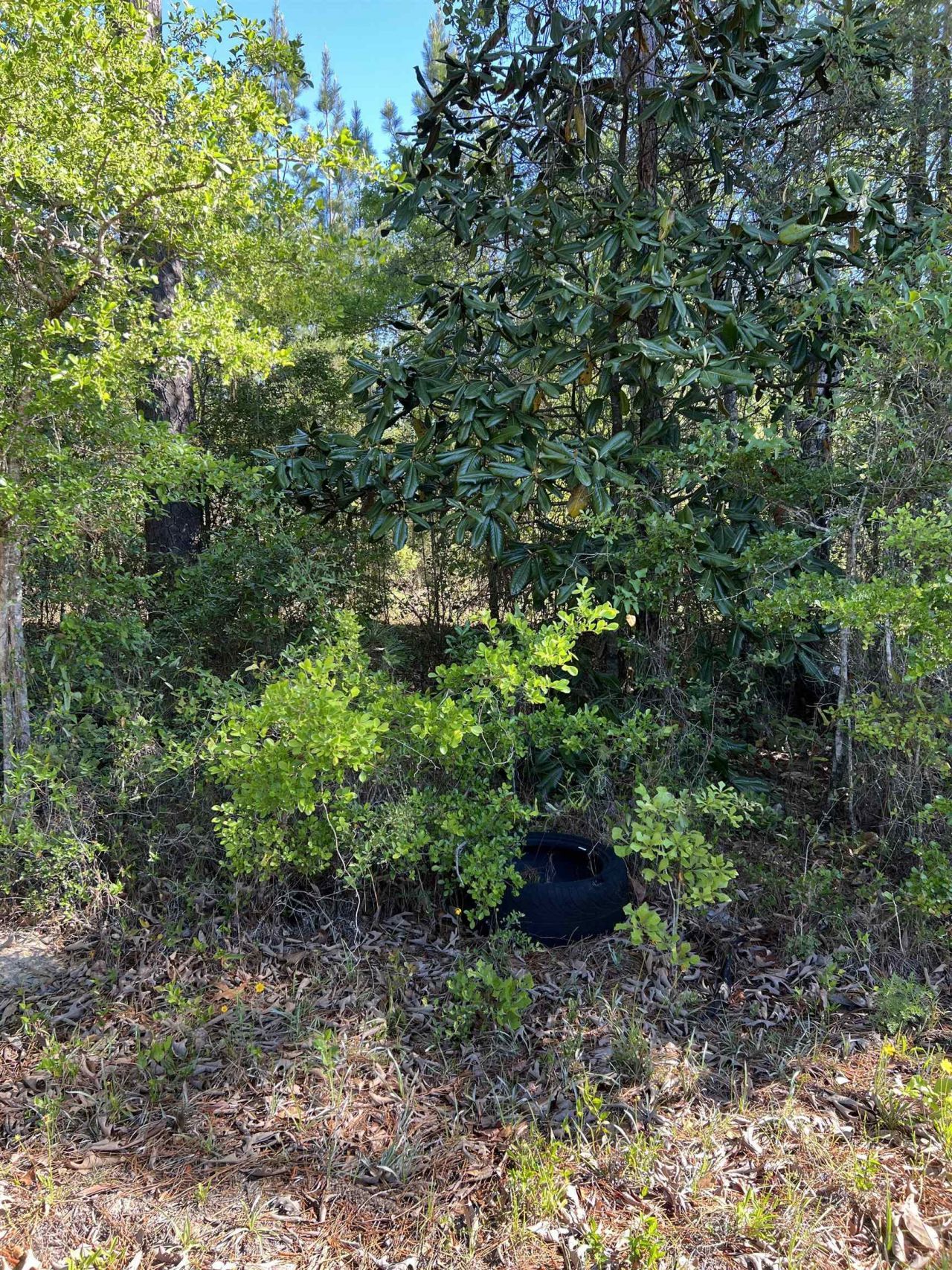 Xx Old Federal Road , Quincy, FL 32351 Photo