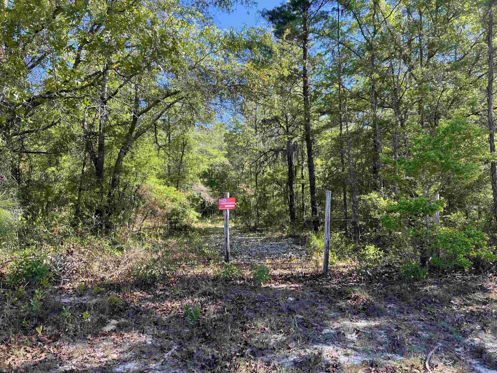 Xx Old Federal Road , Quincy, FL 32351 Photo