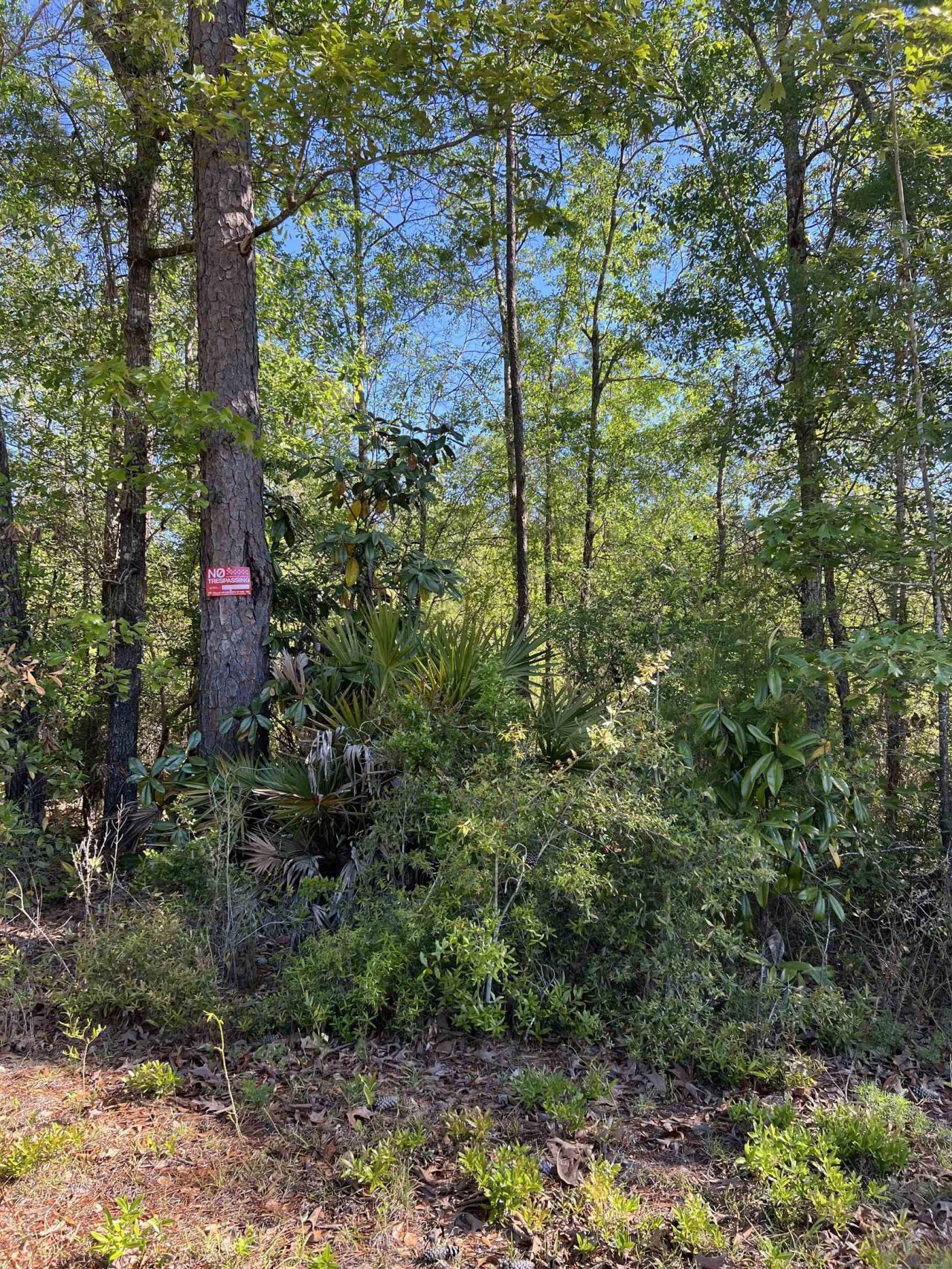 Xx Old Federal Road , Quincy, FL 32351 Photo