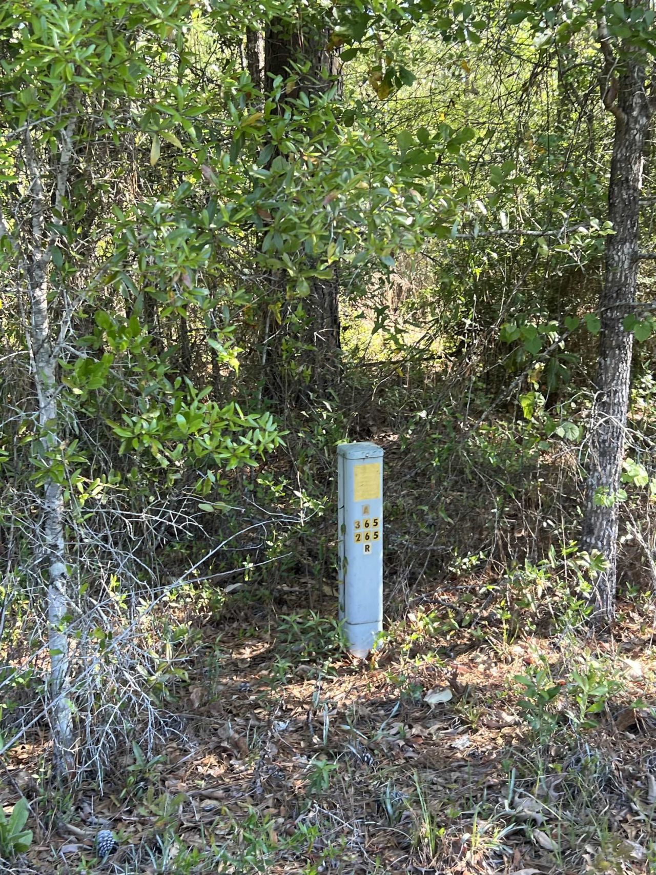 Xx Old Federal Road , Quincy, FL 32351 Photo