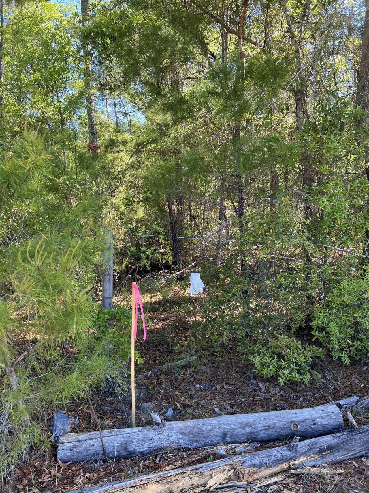 Xx Old Federal Road , Quincy, FL 32351 Photo