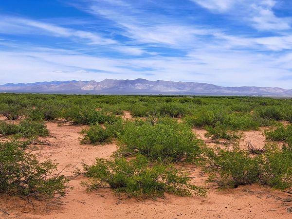 TBD N Horvatin Lane, Unit 26, McNeal, AZ 85617