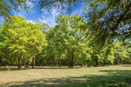 1307 Cooper Lane photo 4