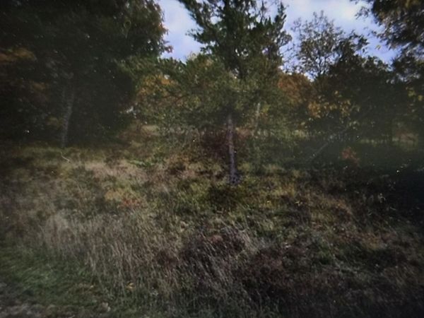Lot 5 Northwood Drive, Grayling, MI 49738