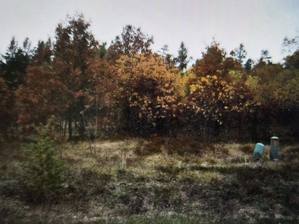 Lot 6 Northwood Drive, Grayling, MI 49738