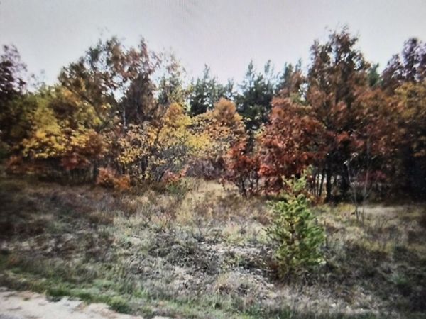 Lot 8 Northwood Drive, Grayling, MI 49738