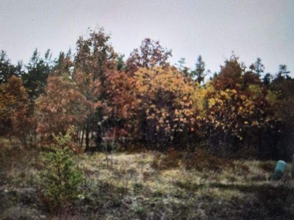 Lot 9 Northwood Drive, Grayling, MI 49738