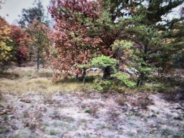 Lot 10 Northwood Drive, Grayling, MI 49738