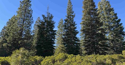 442 Dinsmore Drive, Lake Almanor, CA 96137 Photo