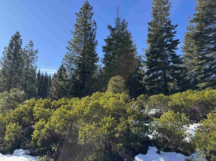 442 Dinsmore Drive, Lake Almanor, CA 96137 Photo