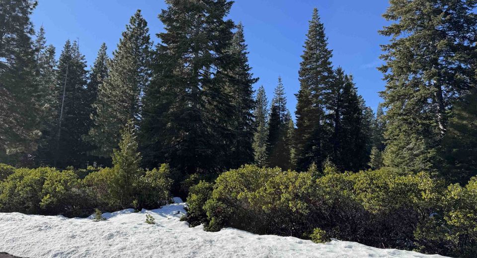 336 Dinsmore Drive, Lake Almanor, CA 96137 Photo