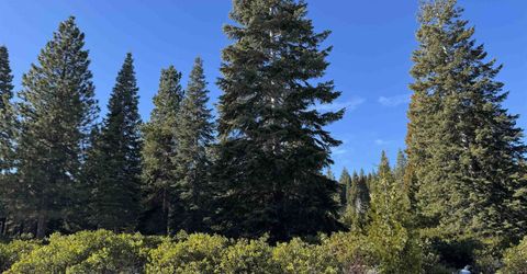 336 Dinsmore Drive, Lake Almanor, CA 96137 Photo