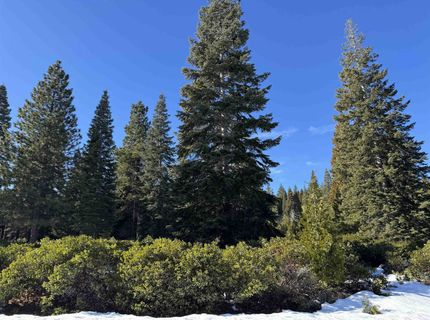 336 Dinsmore Drive, Lake Almanor, CA 96137 Photo