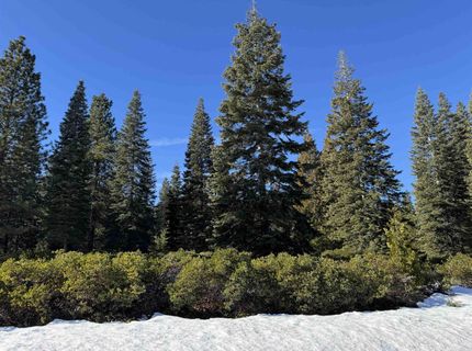 336 Dinsmore Drive, Lake Almanor, CA 96137 Photo