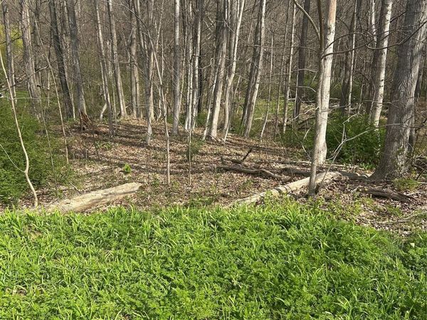 E Noxon Road, Lagrangeville, NY 12540