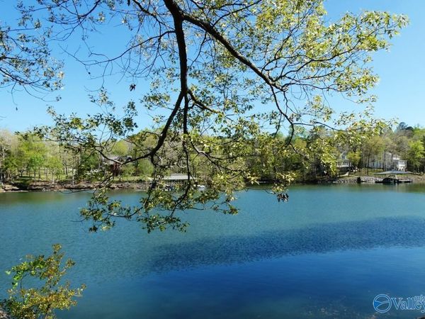 Lot 7 Bullbranch Drive, Double Springs, AL 35553