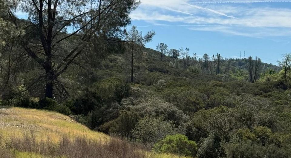 Sweet Valley Road, Rescue, CA 95762 Photo
