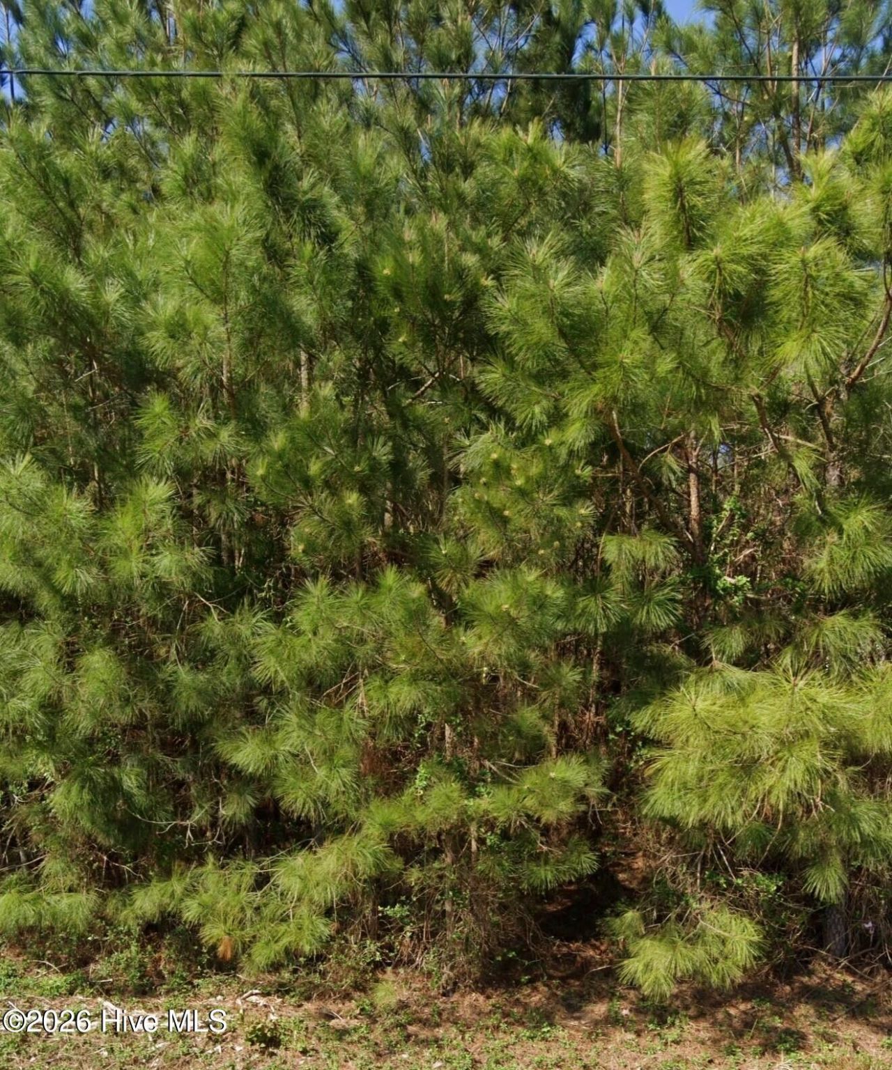 111 Windsor Lane, Edenton, NC 27932 Main Photo