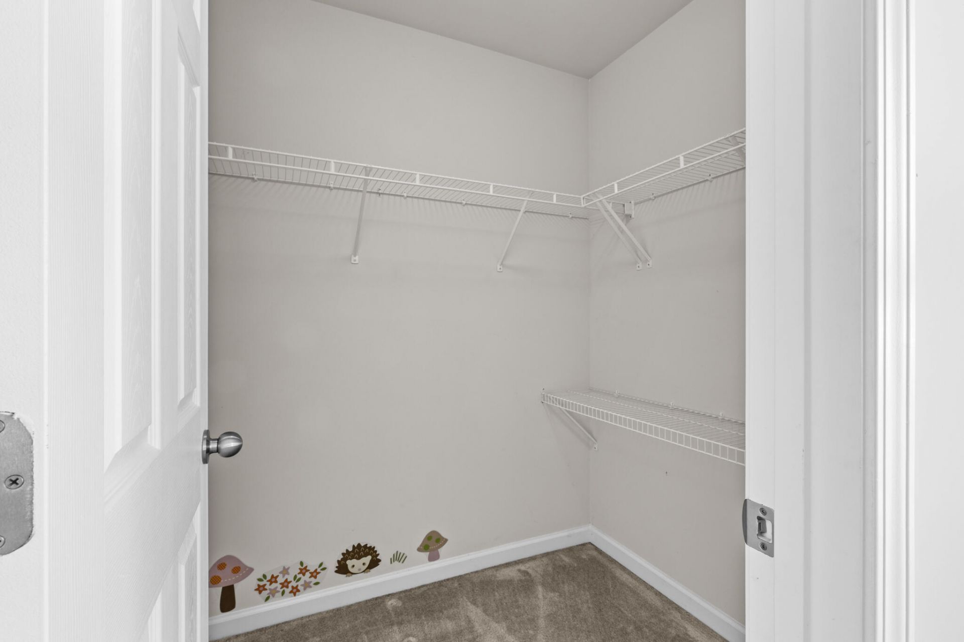 272 Cameron Street Photo 32