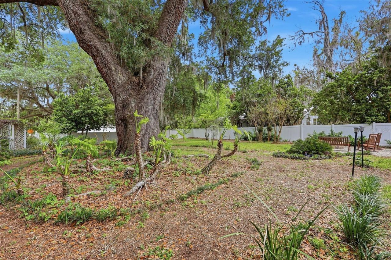 6070 Avenue F , Mc Intosh, FL 32664 Photo