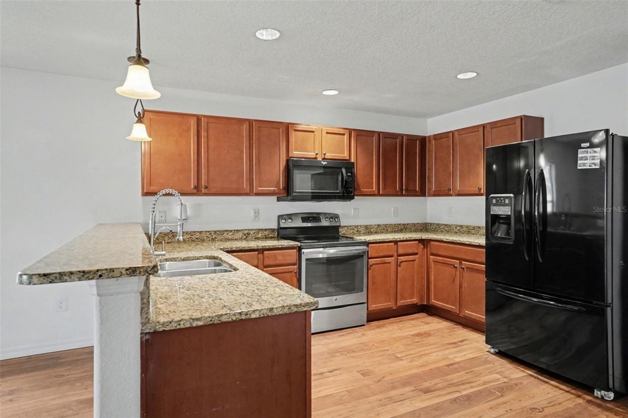 11837 Thicket Wood Drive, Riverview, FL 33579 Photo
