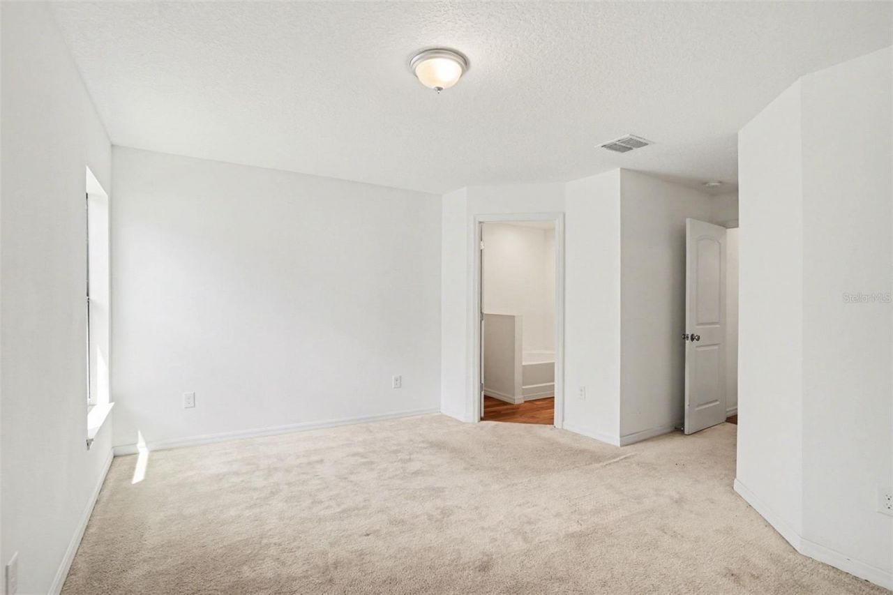 11837 Thicket Wood Drive, Riverview, FL 33579 Photo